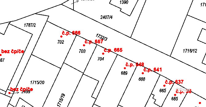 Kateřinky 665, Opava na parcele st. 704 v KÚ Kateřinky u Opavy, Katastrální mapa