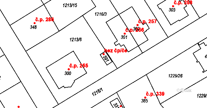 Brandýs nad Orlicí 42378761 na parcele st. 591 v KÚ Brandýs nad Orlicí, Katastrální mapa