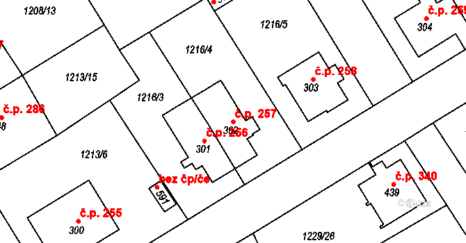 Brandýs nad Orlicí 257 na parcele st. 302 v KÚ Brandýs nad Orlicí, Katastrální mapa
