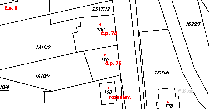 Radostice 75, Borovany na parcele st. 115 v KÚ Radostice u Trocnova, Katastrální mapa