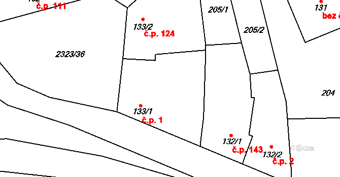 Nechvalín 1 na parcele st. 133/1 v KÚ Nechvalín, Katastrální mapa