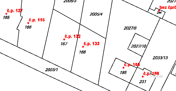 Rudíkov 133 na parcele st. 168 v KÚ Rudíkov, Katastrální mapa