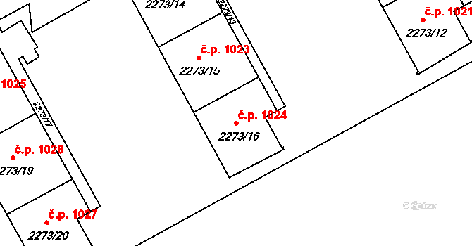 Šluknov 1024 na parcele st. 2273/16 v KÚ Šluknov, Katastrální mapa