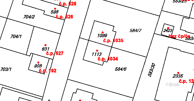 Třebechovice pod Orebem 1034 na parcele st. 1113 v KÚ Třebechovice pod Orebem, Katastrální mapa