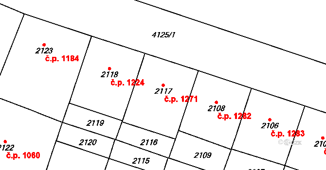 Vinohrady 1271, Praha na parcele st. 2117 v KÚ Vinohrady, Katastrální mapa