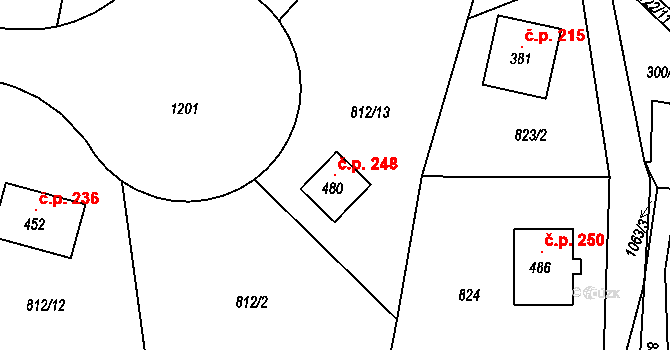 Martinice v Krkonoších 248 na parcele st. 480 v KÚ Martinice v Krkonoších, Katastrální mapa