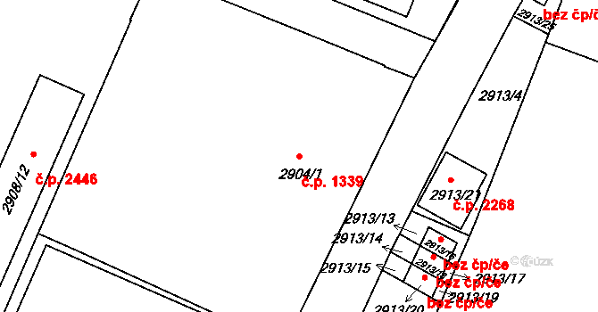 Boskovice 1339 na parcele st. 2904/1 v KÚ Boskovice, Katastrální mapa