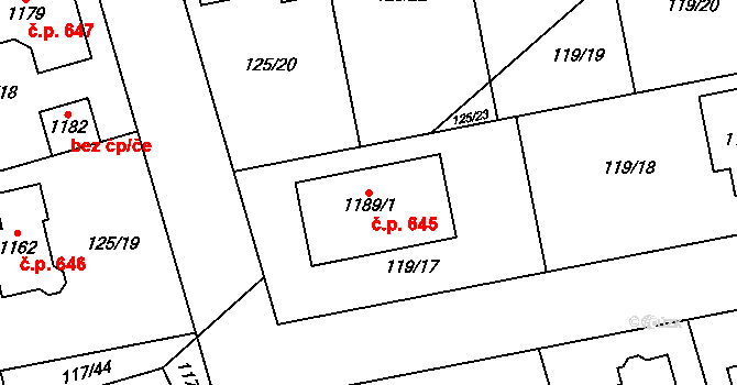Veltrusy 645 na parcele st. 1189/1 v KÚ Veltrusy, Katastrální mapa