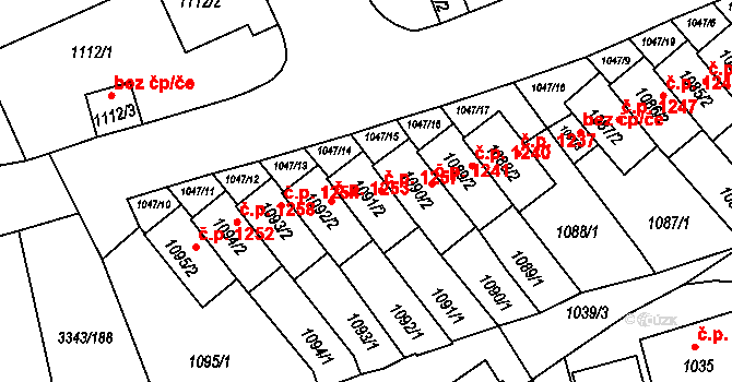 Třešť 1257 na parcele st. 1091/2 v KÚ Třešť, Katastrální mapa