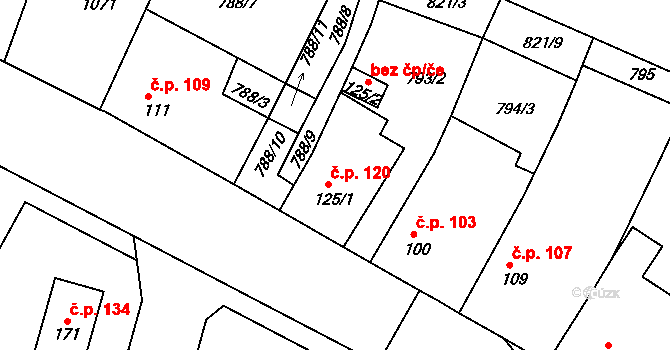 Čermná 120 na parcele st. 125/1 v KÚ Čermná u Staňkova, Katastrální mapa