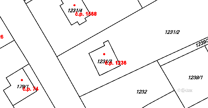Ráj 1236, Karviná na parcele st. 1231/3 v KÚ Ráj, Katastrální mapa