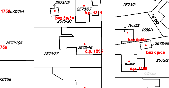 Rychnov nad Kněžnou 1255 na parcele st. 2573/46 v KÚ Rychnov nad Kněžnou, Katastrální mapa