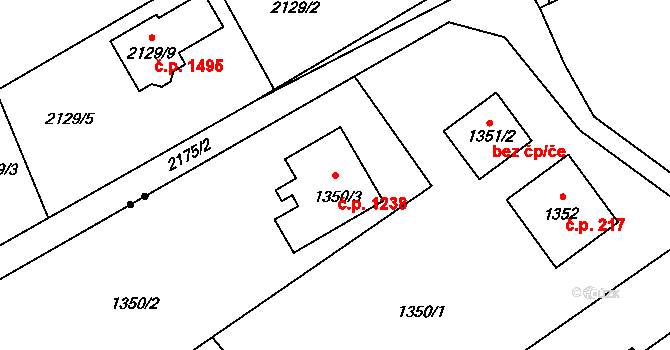 Ráj 1238, Karviná na parcele st. 1350/3 v KÚ Ráj, Katastrální mapa