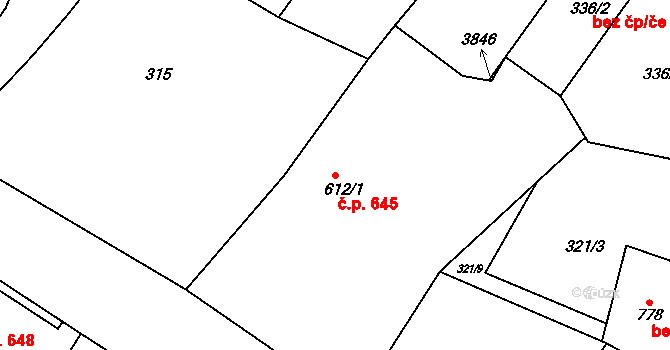 Králíky 645 na parcele st. 612/1 v KÚ Králíky, Katastrální mapa