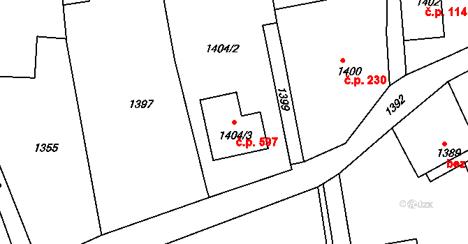 Dlouhá Loučka 597 na parcele st. 1404/3 v KÚ Dolní Dlouhá Loučka, Katastrální mapa