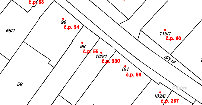 Popice 230 na parcele st. 100/1 v KÚ Popice, Katastrální mapa