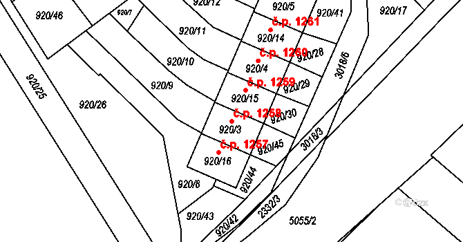Rychnov nad Kněžnou 1258 na parcele st. 920/3 v KÚ Rychnov nad Kněžnou, Katastrální mapa