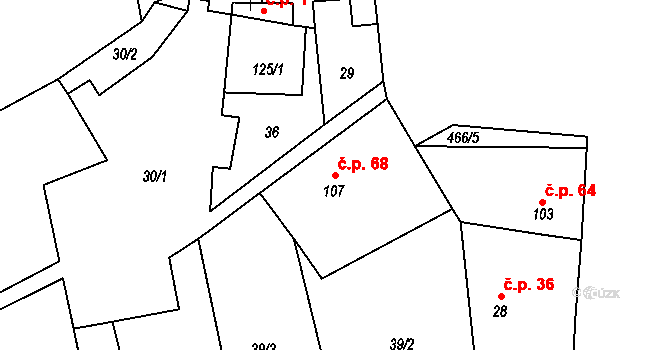 Dřemčice 68, Třebívlice na parcele st. 107 v KÚ Dřemčice, Katastrální mapa