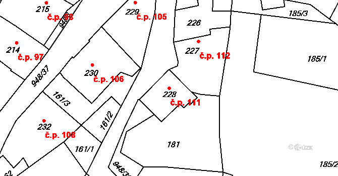 Borohrádek 111 na parcele st. 228 v KÚ Borohrádek, Katastrální mapa