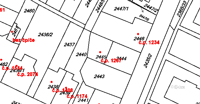Předměstí 1267, Litoměřice na parcele st. 2445 v KÚ Litoměřice, Katastrální mapa