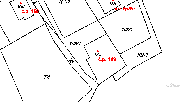 Kopaniny 119, Aš na parcele st. 125 v KÚ Kopaniny, Katastrální mapa