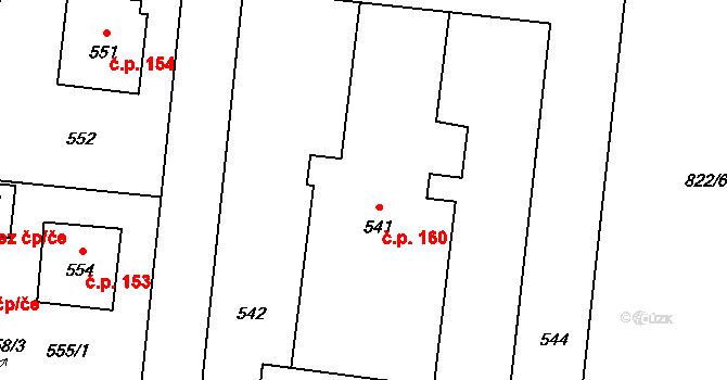 Neplachovice 160 na parcele st. 541/1 v KÚ Neplachovice, Katastrální mapa