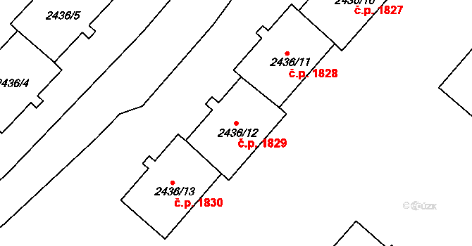 Sokolov 1829 na parcele st. 2436/12 v KÚ Sokolov, Katastrální mapa