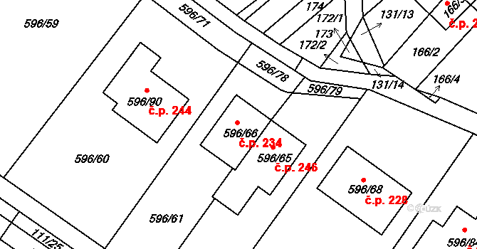 Královopolské Vážany 234, Rousínov na parcele st. 596/66 v KÚ Královopolské Vážany, Katastrální mapa