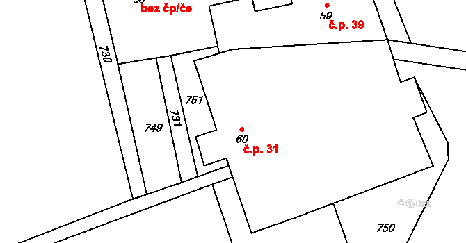 Petrkov 31, Lípa na parcele st. 60 v KÚ Petrkov, Katastrální mapa