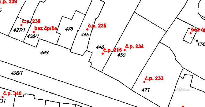Bystřice nad Pernštejnem 215 na parcele st. 446/1 v KÚ Bystřice nad Pernštejnem, Katastrální mapa