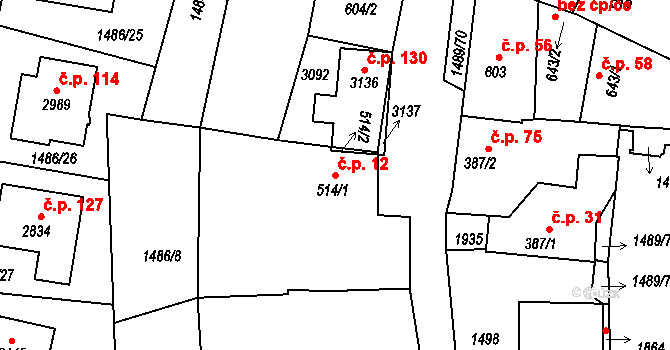 Pražák 12, Vodňany na parcele st. 514/1 v KÚ Vodňany, Katastrální mapa