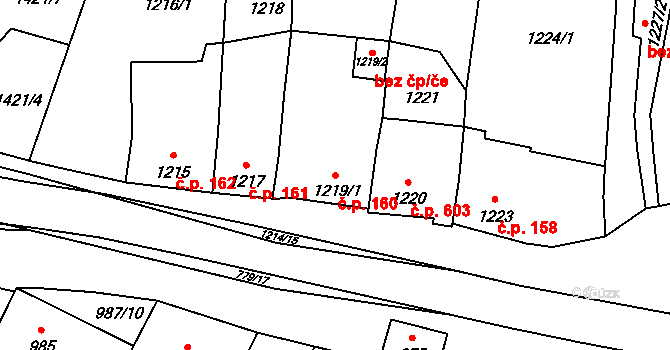 Lednice 160 na parcele st. 1219/1 v KÚ Lednice na Moravě, Katastrální mapa