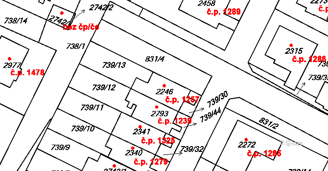 Neratovice 1257 na parcele st. 2246 v KÚ Neratovice, Katastrální mapa