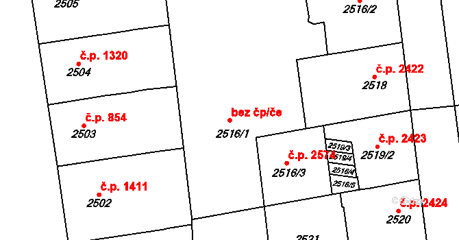 Praha 40358917 na parcele st. 2516/1 v KÚ Vinohrady, Katastrální mapa