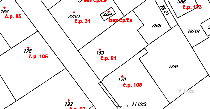 Rpety 81 na parcele st. 163 v KÚ Rpety, Katastrální mapa