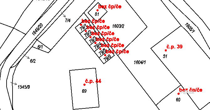 Biřkov 39209920 na parcele st. 79/6 v KÚ Biřkov, Katastrální mapa