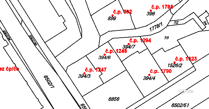 Kraslice 1248 na parcele st. 394/6 v KÚ Kraslice, Katastrální mapa