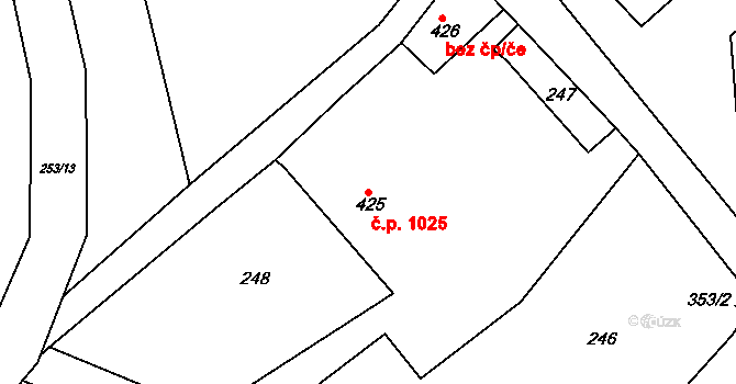 Dvořiště 1025, Bystřice nad Pernštejnem na parcele st. 425 v KÚ Dvořiště u Bystřice nad Pernštejnem, Katastrální mapa