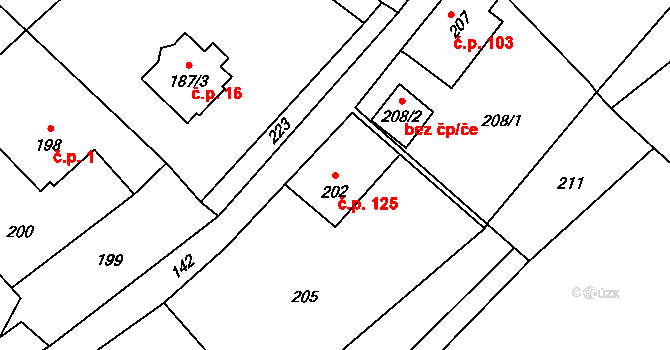 Ludvíkov 125 na parcele st. 202 v KÚ Ludvíkov pod Pradědem, Katastrální mapa