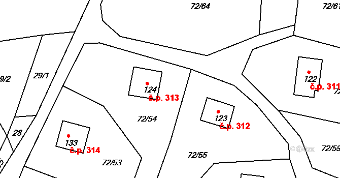 Klení 313, Benešov nad Černou na parcele st. 124 v KÚ Klení, Katastrální mapa