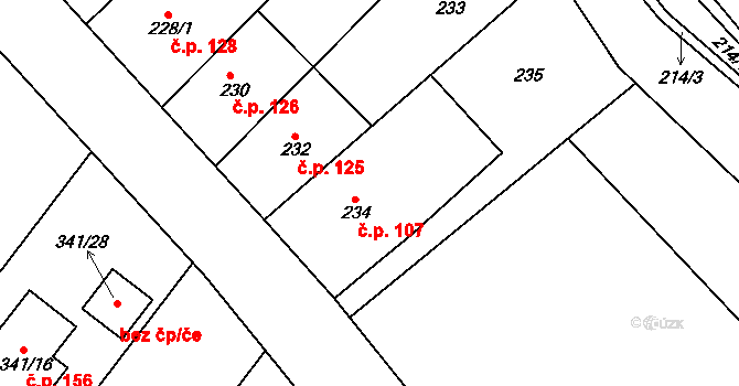 Lhota 107, Vyškov na parcele st. 234 v KÚ Lhota, Katastrální mapa