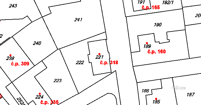 Dolní Rychnov 318 na parcele st. 221 v KÚ Dolní Rychnov, Katastrální mapa