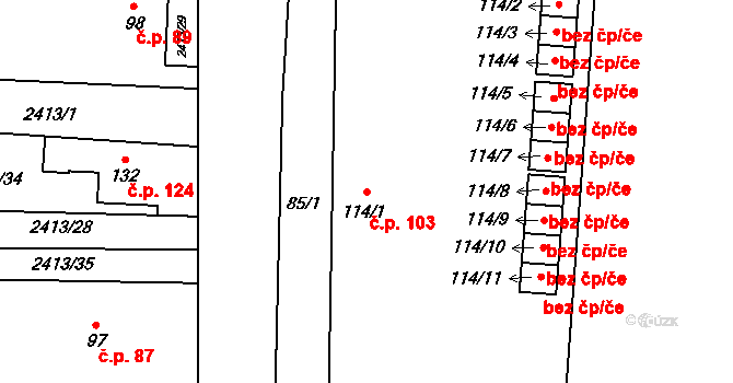 Hodice 103 na parcele st. 114/1 v KÚ Hodice, Katastrální mapa