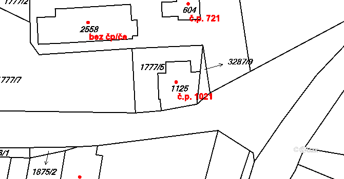 Nejdek 1021 na parcele st. 1125 v KÚ Nejdek, Katastrální mapa