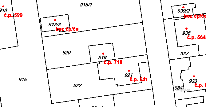Kylešovice 718, Opava na parcele st. 919 v KÚ Kylešovice, Katastrální mapa