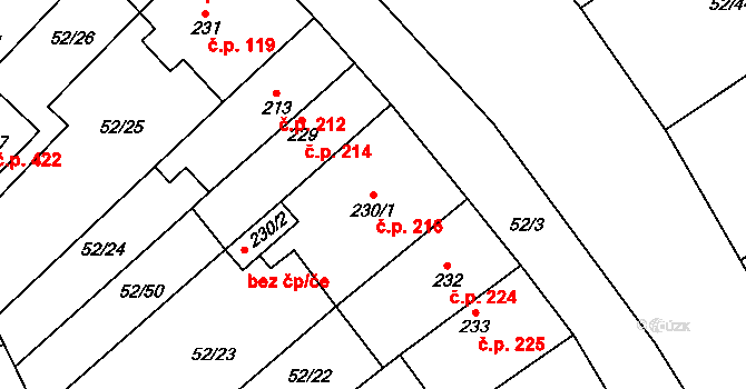 Nedvědice 216 na parcele st. 230/1 v KÚ Nedvědice pod Pernštejnem, Katastrální mapa