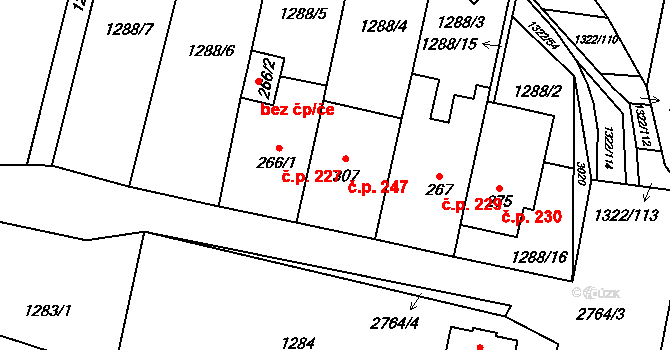 Neslovice 247 na parcele st. 307 v KÚ Neslovice, Katastrální mapa