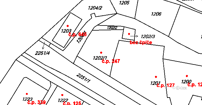 Loštice 247 na parcele st. 1202/1 v KÚ Loštice, Katastrální mapa