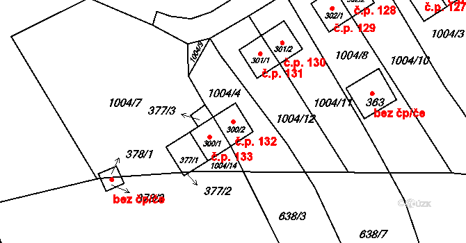 Rožmberk nad Vltavou 132 na parcele st. 300/2 v KÚ Rožmberk nad Vltavou, Katastrální mapa