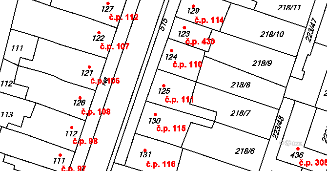 Domamyslice 111, Prostějov na parcele st. 125 v KÚ Domamyslice, Katastrální mapa